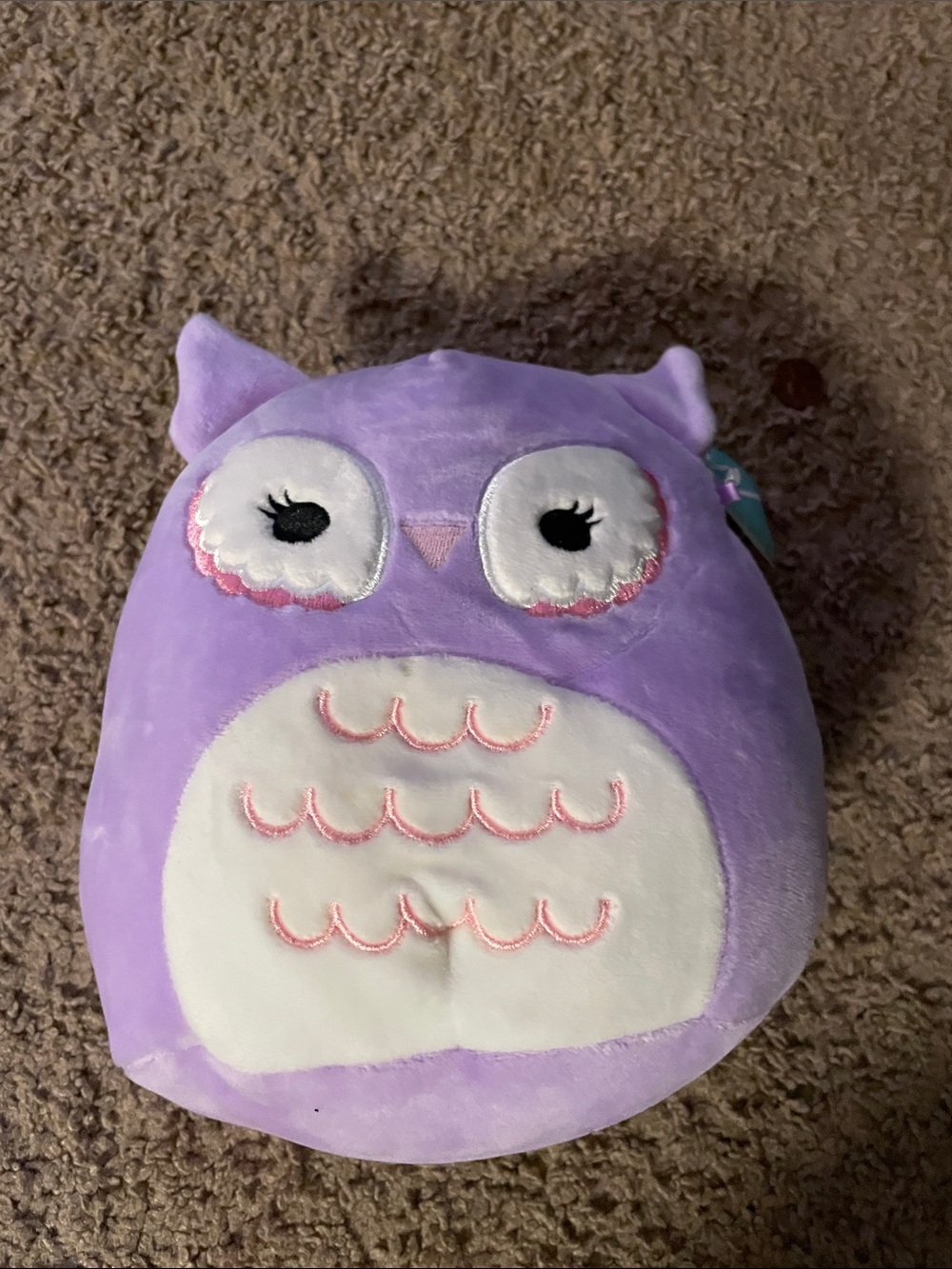 Squishmallows Purple Lavender Miranda Owl Plush